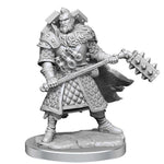 Dungeons & Dragons Miniatures: Frameworks - Male Human Fighter (Wave 1)