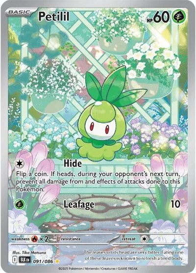 Petilil (091/086) [SV: Black Bolt]
