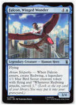 Falcon, Winged Wonder