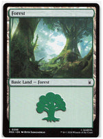 Forest (0296)