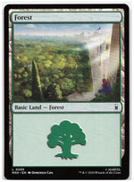 Forest (0295)