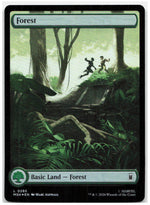 Forest (0285)