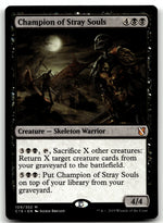 Champion of Stray Souls