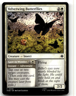 Velvetwing Butterflies