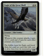 Eagle of the Great Shelf