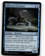 Mirkwood Meditator