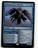 Most Decrepit Old Bird