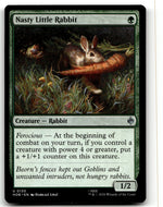 Nasty Little Rabbit