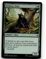 Ordinary Bear