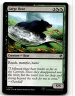 Large Bear