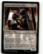 Long-Bodied Grey Dog