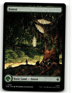 Forest (0198)