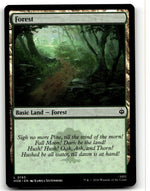 Forest (0193)