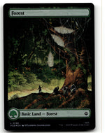 Forest (0198)