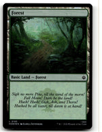 Forest (0193)