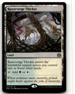 Razorverge Thicket
