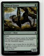 Arboreal Grazer