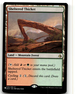 Sheltered Thicket