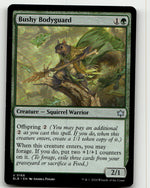 Bushy Bodyguard