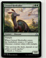 Crested Herdcaller