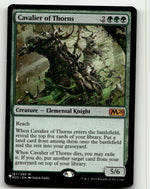 Cavalier of Thorns