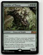 Cavalier of Thorns