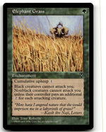 Elephant Grass