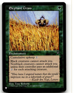 Elephant Grass