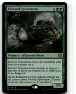 Evolved Spinoderm