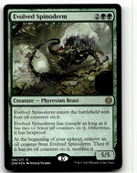Evolved Spinoderm
