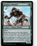 Elephant-Mandrill