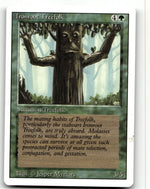 Ironroot Treefolk