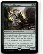 Keen-Eyed Curator