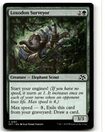 Loxodon Surveyor