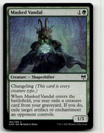 Masked Vandal