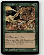 Muscle Sliver