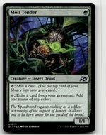 Molt Tender