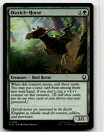 Ostrich-Horse