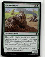 Pothole Mole