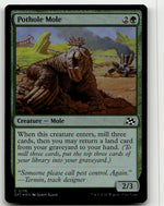 Pothole Mole