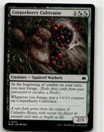Corpseberry Cultivator