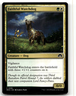 Faithful Watchdog