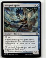 Seedpod Squire