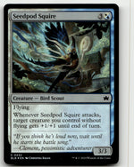 Seedpod Squire