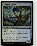 Seedpod Squire