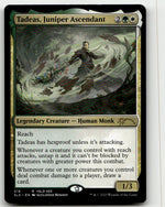Tadeas, Juniper Ascendant