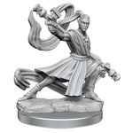 Dungeons & Dragons Miniatures: Frameworks - Male Elf Monk (Wave 1)
