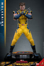 Hot Toys Marvel Wolverine (Deluxe - Deadpool & Wolverine)